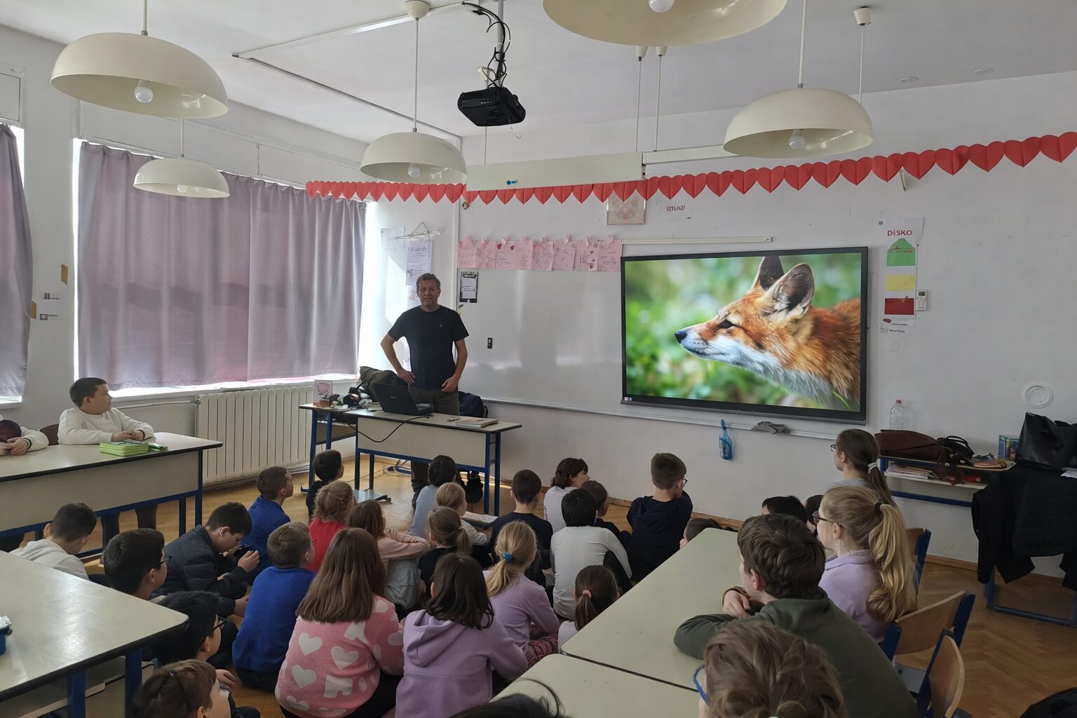 Nastavnica i projekcija lisice