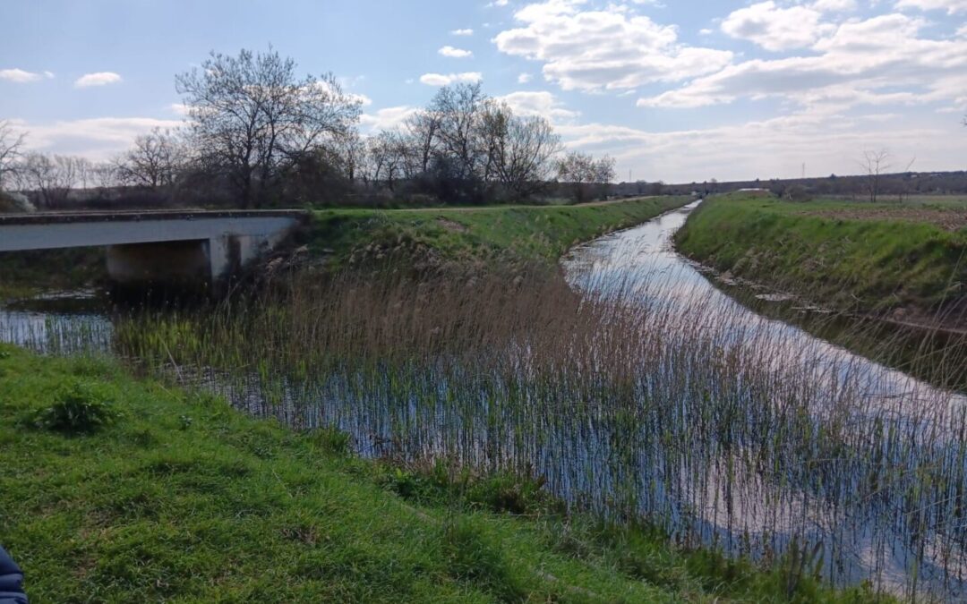 Svjetski dan voda na Miljašić jarugi